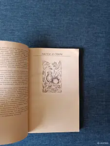 Книга. Целебные Напитки.