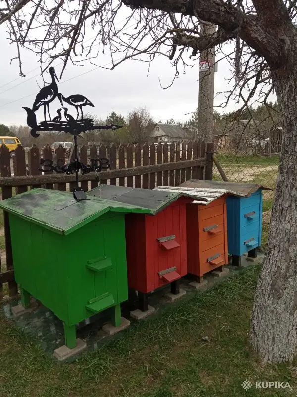 Продаются 4 новых улья и медогонка