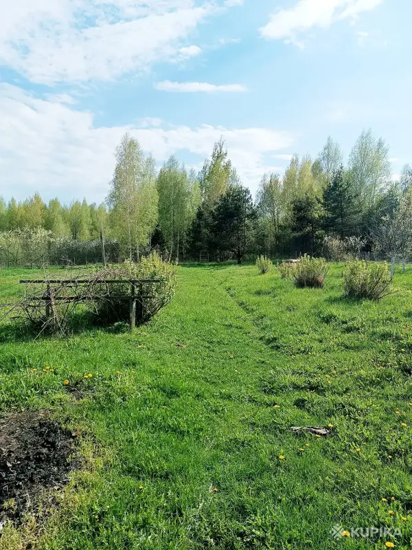 Дом для жизни, отдыха, рыбалки. 30 км от Борисова. - Вся Беларусь - 243816 - Доска объявлений Kupika.by - Фото 4