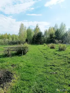 Дом для жизни, отдыха, рыбалки. 30 км от Борисова.