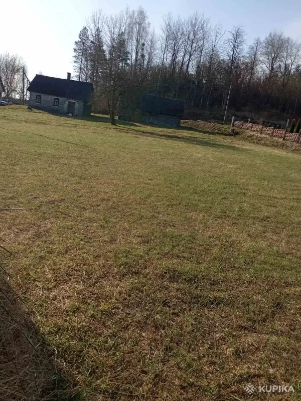 Продается земельный участок 0.63 га с домом в живописном месте в д. Якимовичи. - Вся Беларусь - 243888 - Доска объявлений Kupika.by - Фото 2