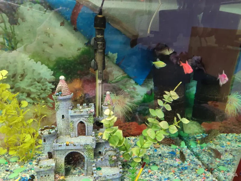 Аквариум - Вся Беларусь - 244353 - Доска объявлений Kupika.by - Фото 3