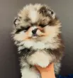user_72940