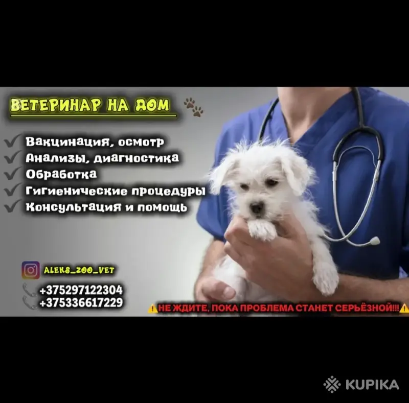 Выездной ветеринар на дом