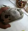 1950 г. Фляжка СА - Вся Беларусь - 250389 - Доска объявлений Kupika.by - Фото 4
