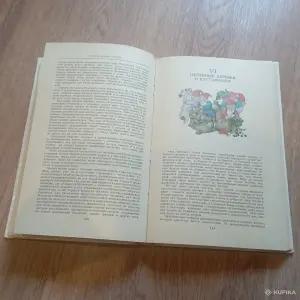 Книга "Целебные кладовые природы" (Минск, 1979 год)