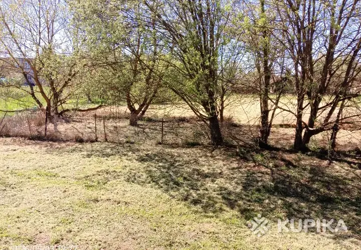Дом под Минском - Вся Беларусь - 247959 - Доска объявлений Kupika.by - Фото 6