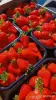 Продаём вкусную свежую клубнику - Вся Беларусь - 248663 - Доска объявлений Kupika.by