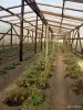 Продажа земельных участков - Земельный участок в СТ Исса. - Вся Беларусь - Фото 6 Земельный участок в СТ Исса. - Вся Беларусь - 250334 - Доска объявлений Kupika.by - Фото 6