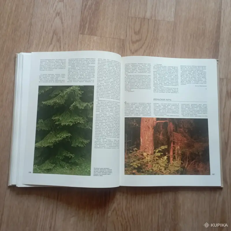 Книга Проселки (В. Песков, 1987 год) - Вся Беларусь - 248328 - Доска объявлений Kupika.by - Фото 5