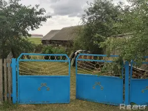 Дом в деревне