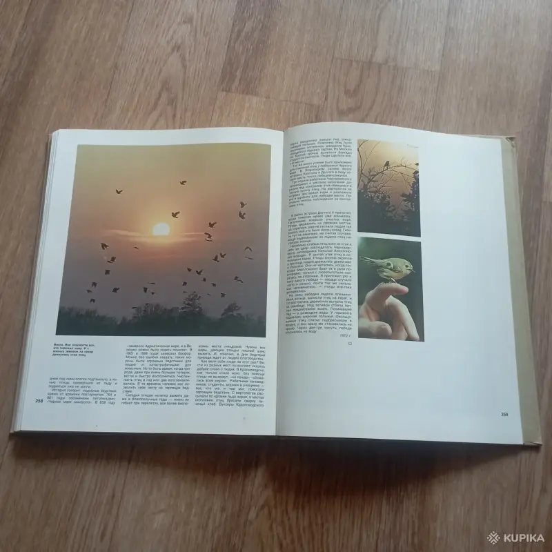 Книга Проселки (В. Песков, 1987 год) - Вся Беларусь - 248328 - Доска объявлений Kupika.by - Фото 3