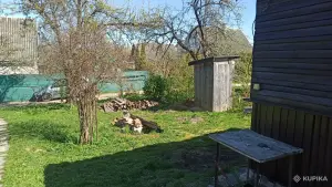 дача