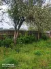 Продажа домов - дом с участком 16 соток - Вся Беларусь - Фото 7 дом с участком 16 соток - Вся Беларусь - 249694 - Доска объявлений Kupika.by - Фото 7