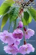 user_72608