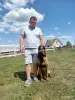 Щенки Бельгийской овчарки (Малинуа) - Вся Беларусь - 248566 - Доска объявлений Kupika.by - Фото 3
