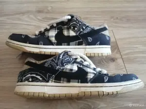 Кроссовки баскетбольные Nike SB Dunk Low Cuctus Jack