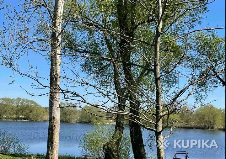 Дом под Минском - Вся Беларусь - 247959 - Доска объявлений Kupika.by - Фото 10