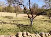 Дом недалеко от Минска - Вся Беларусь - 250186 - Доска объявлений Kupika.by - Фото 6