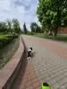 Бишон Хаванез - Вся Беларусь - 249027 - Доска объявлений Kupika.by - Фото 6