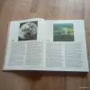 Книга Проселки (В. Песков, 1987 год) - Вся Беларусь - 248328 - Доска объявлений Kupika.by - Фото 7