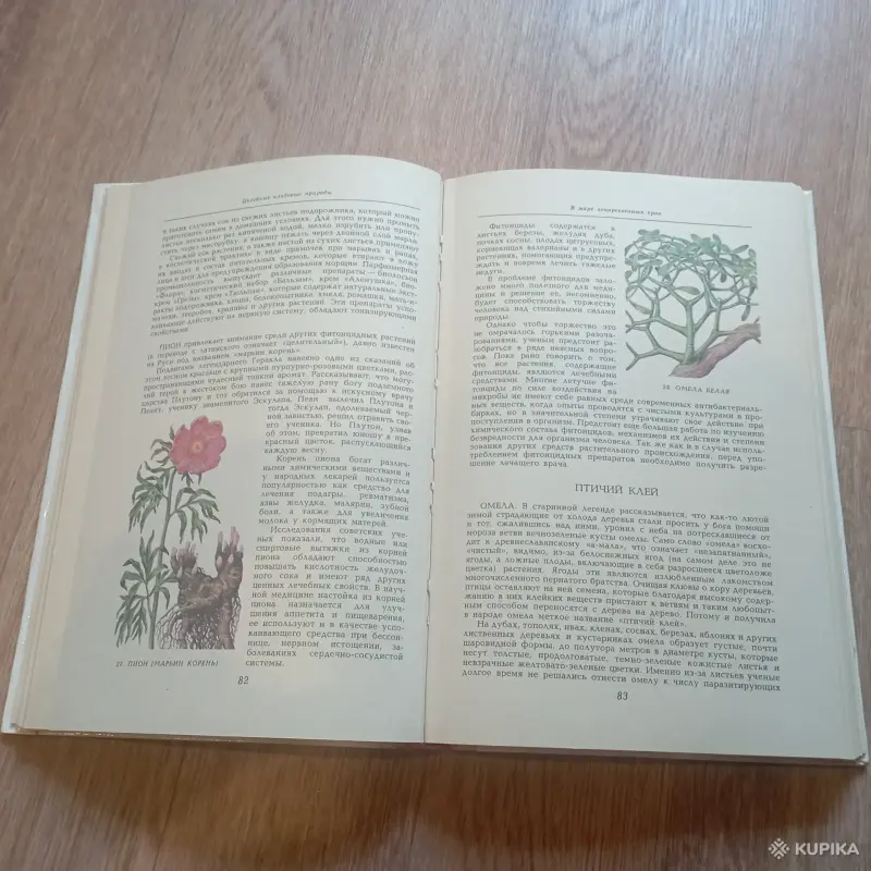 Книга "Целебные кладовые природы" (Минск, 1979 год) - Вся Беларусь - 248459 - Доска объявлений Kupika.by - Фото 4