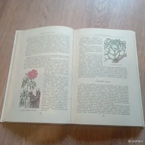 Книга "Целебные кладовые природы" (Минск, 1979 год)