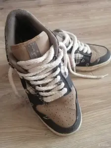 Кроссовки баскетбольные Nike SB Dunk Low Cuctus Jack