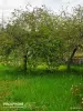 Продажа домов - дом с участком 16 соток - Вся Беларусь - Фото 8 дом с участком 16 соток - Вся Беларусь - 249694 - Доска объявлений Kupika.by - Фото 8