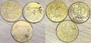 Польские гроши и злотые