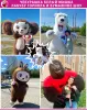 Аниматор Белый Медведь Мишка Чебурашка Горилла Лабубу Ростовая кукла и Бумажное шоу Брест Кобрин и область - Вся Беларусь - 246175 - Доска объявлений Kupika.by