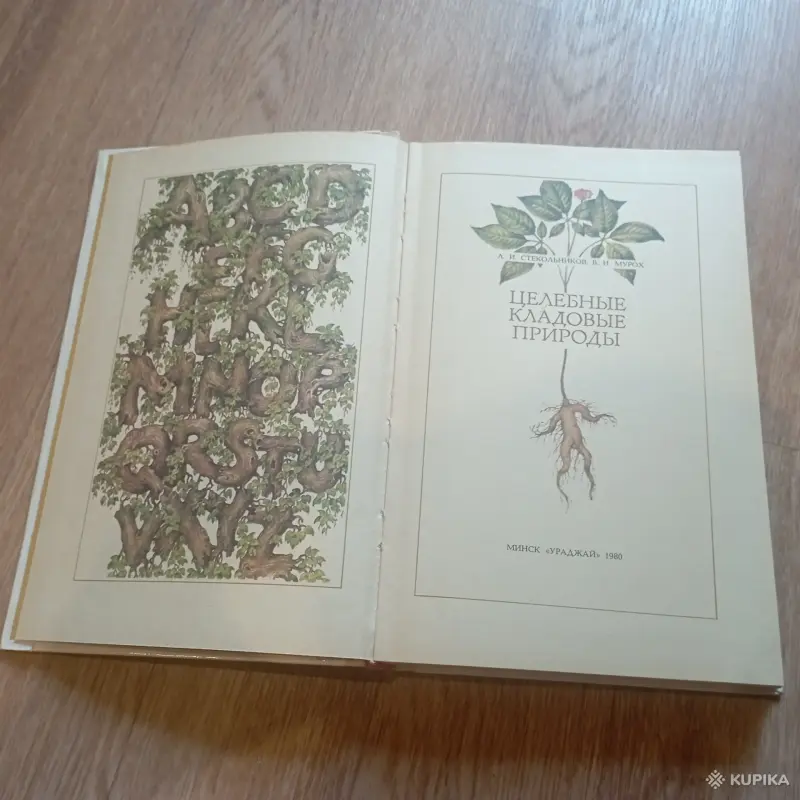 Книга "Целебные кладовые природы" (Минск, 1979 год) - Вся Беларусь - 248459 - Доска объявлений Kupika.by - Фото 5