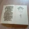 Книга "Целебные кладовые природы" (Минск, 1979 год) - Вся Беларусь - 248459 - Доска объявлений Kupika.by - Фото 5