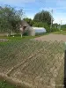 Продажа земельных участков - Земельный участок в СТ Исса. - Вся Беларусь Земельный участок в СТ Исса. - Вся Беларусь - 250334 - Доска объявлений Kupika.by