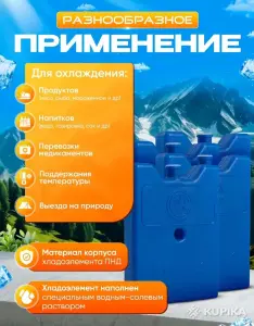 Термоконтейнер (термос) + хладоэлементы