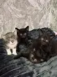user_73145