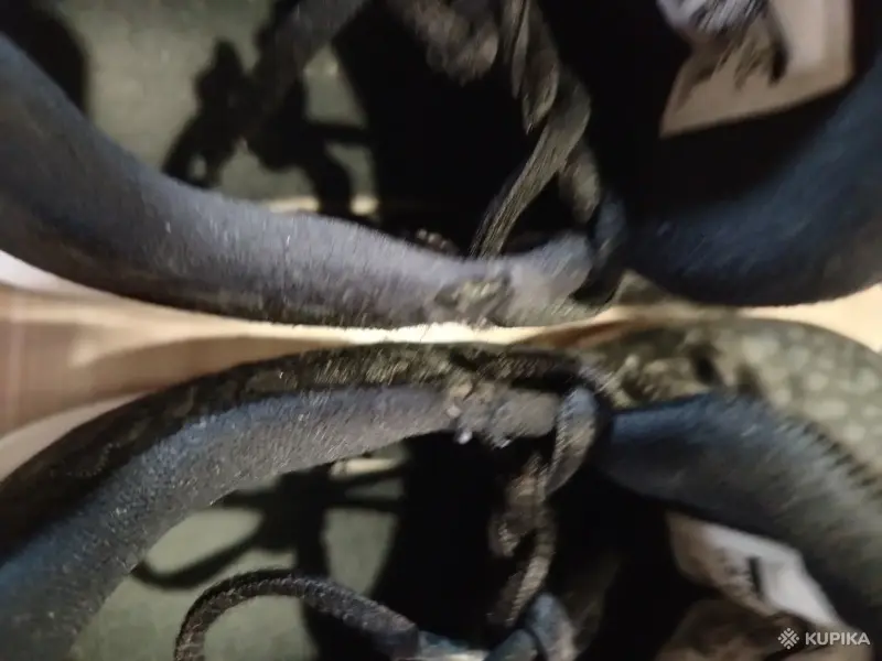 Кроссовки Nike air Jordan B.Fly оригинал. Баскетбольные для подростков 38р. - Вся Беларусь - 247302 - Доска объявлений Kupika.by - Фото 5