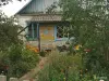 Йоркширский терьер - Вся Беларусь - 247509 - Доска объявлений Kupika.by - Фото 2