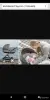 Детская коляска-внедорожник Stokke Trailz 2в1 - Вся Беларусь - 247556 - Доска объявлений Kupika.by - Фото 6