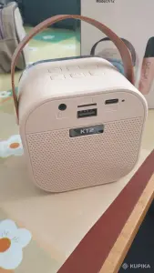 Колонка с микрофонами для детей