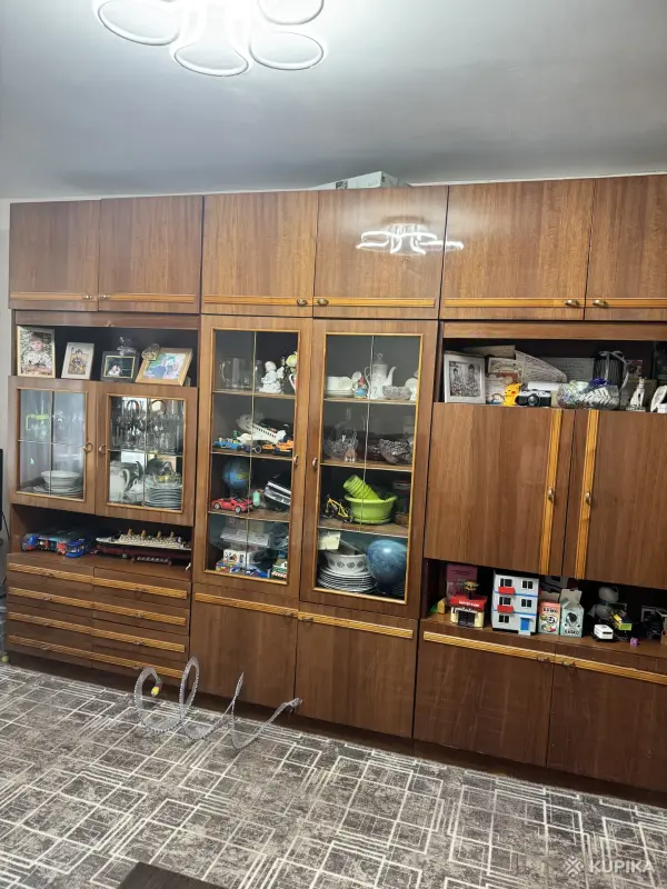Секция бесплатно