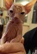 Юлия