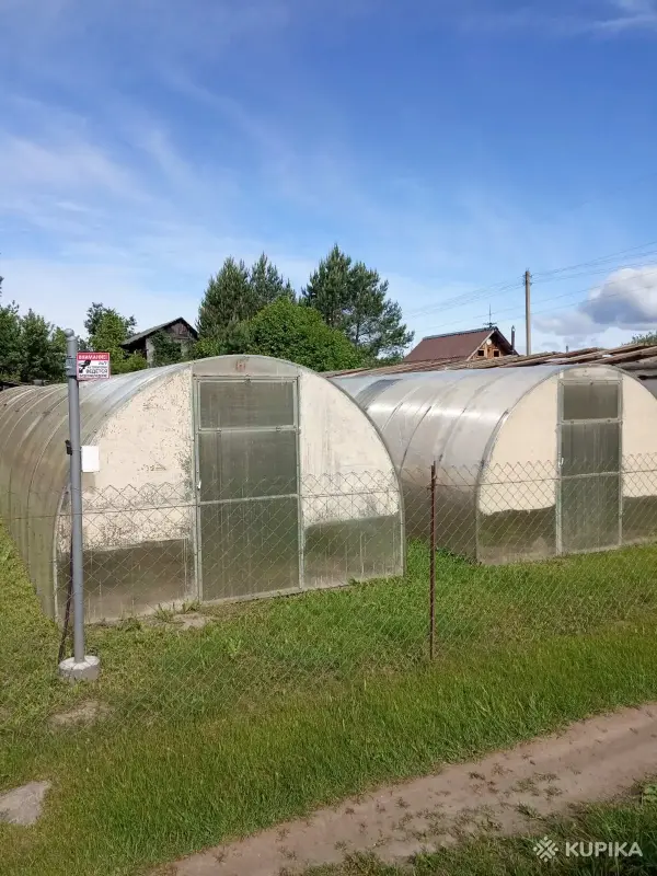 Продажа земельных участков - Земельный участок в СТ Исса. - Вся Беларусь - Фото 2 Земельный участок в СТ Исса. - Вся Беларусь - 250334 - Доска объявлений Kupika.by - Фото 2