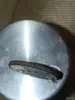 3 гроша 1819 - Вся Беларусь - 247661 - Доска объявлений Kupika.by - Фото 3