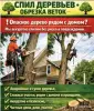 Уход за садом и огородом - СПИЛ деревьев любой сложности МИНСКАЯ ОБЛАСТЬ - Вся Беларусь - Фото 4 СПИЛ деревьев любой сложности МИНСКАЯ ОБЛАСТЬ - Вся Беларусь - 251086 - Доска объявлений Kupika.by - Фото 4