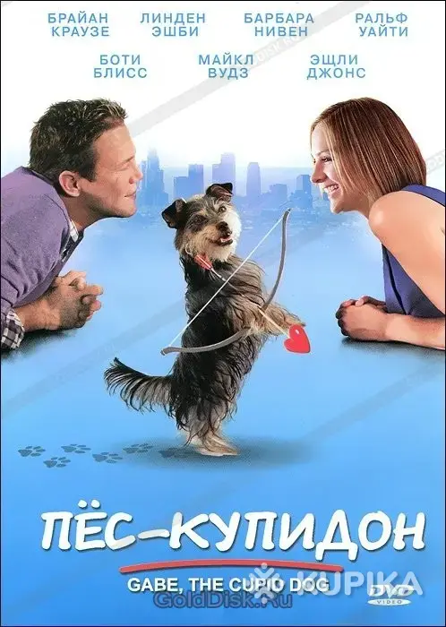DVD.