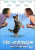 DVD. - Вся Беларусь - 251106 - Доска объявлений Kupika.by