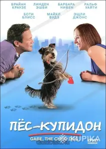 DVD.