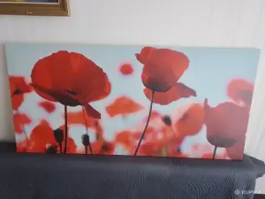 Картина IKea