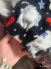 пижама - Вся Беларусь - 251440 - Доска объявлений Kupika.by - Фото 4